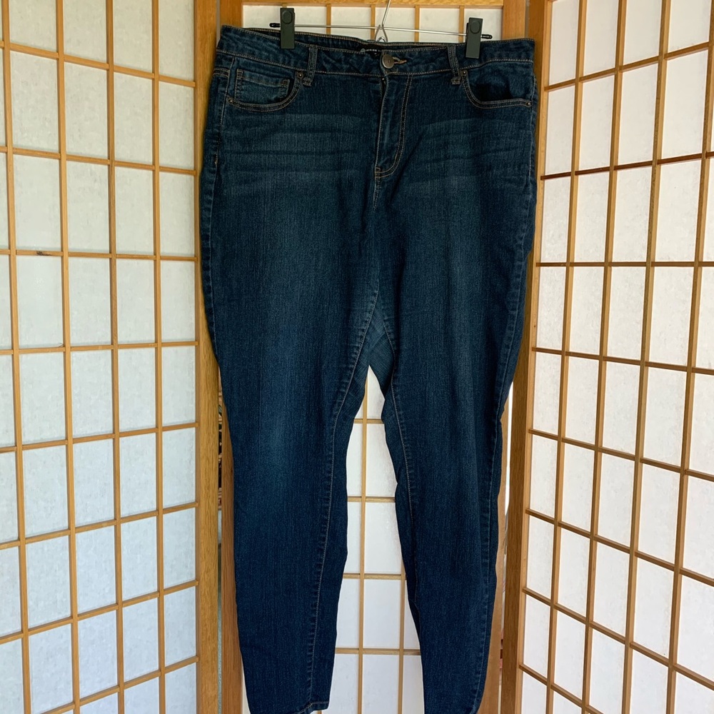 Fashion to Figure Skinny Jeans